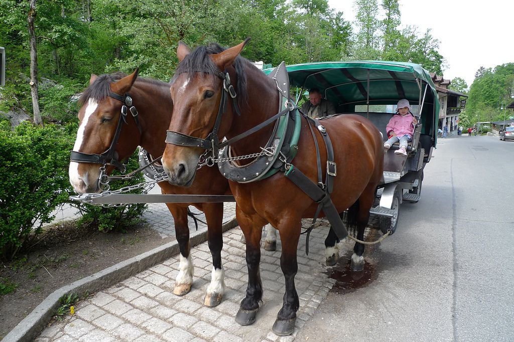 P1300760.JPG P1300760.JPG