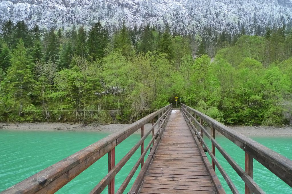 P1300858-1.jpg P1300858-1.jpg