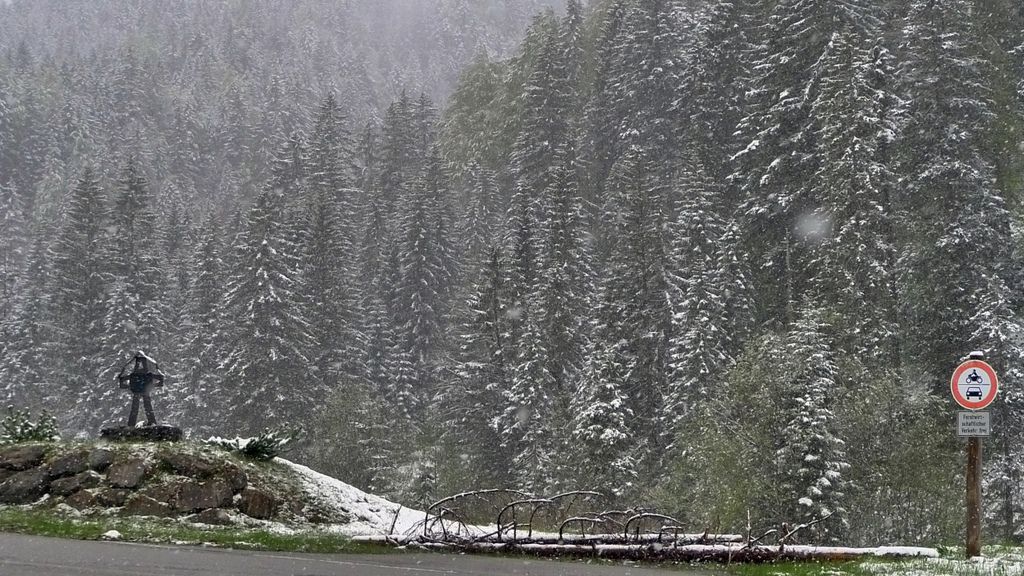 P1300864-1.jpg P1300864-1.jpg