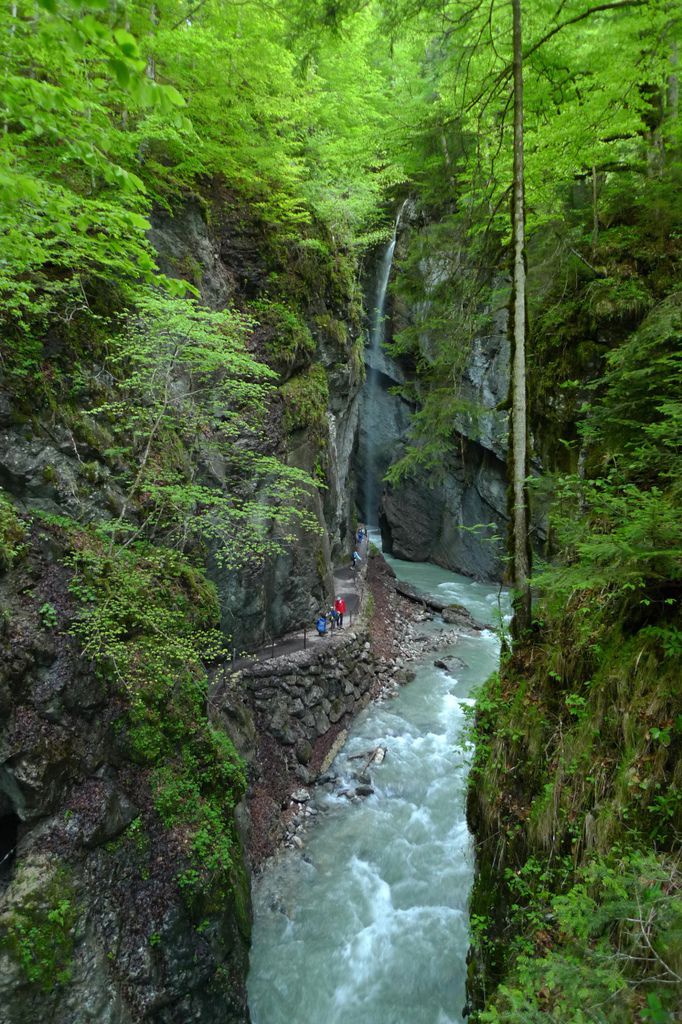 P1310229-1.jpg P1310229-1.jpg