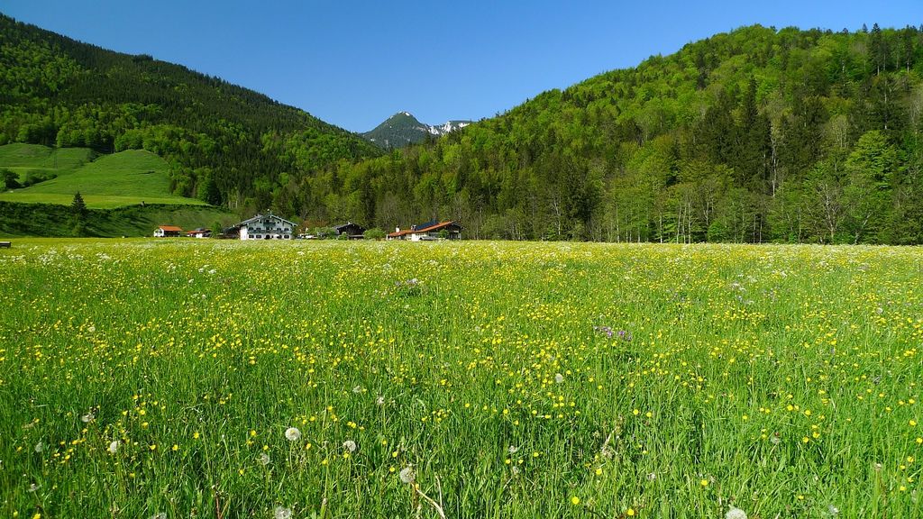 P1310398.JPG P1310398.JPG