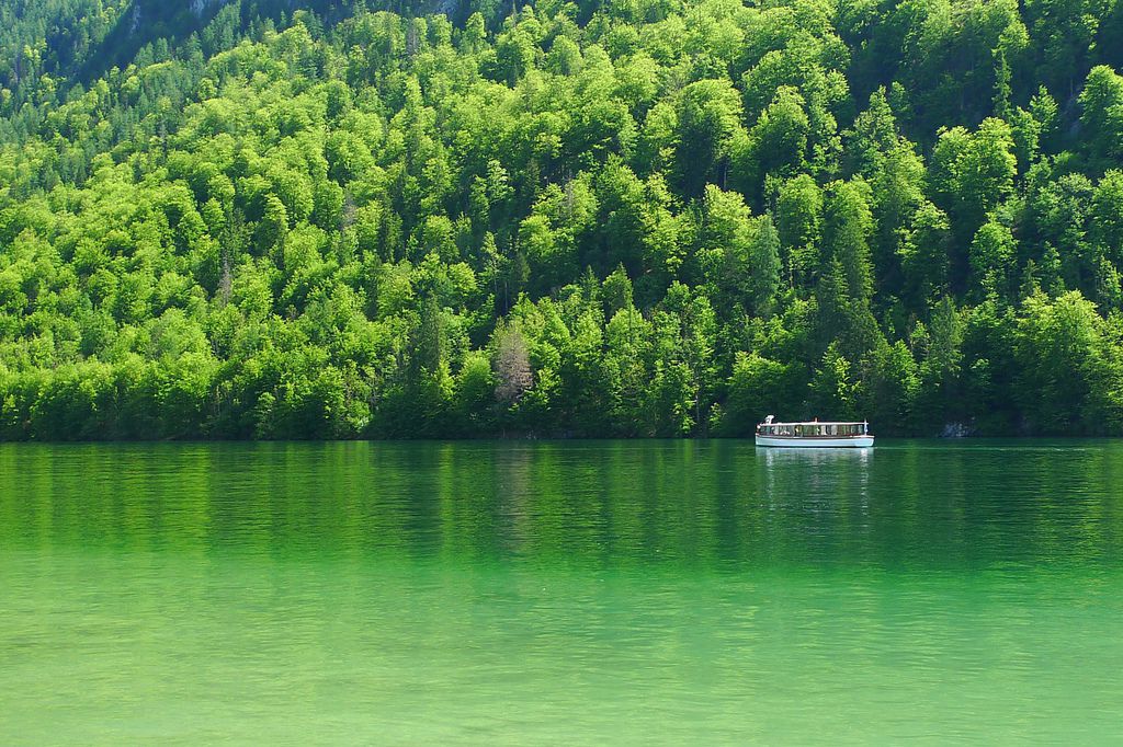 P1310559.JPG P1310559.JPG