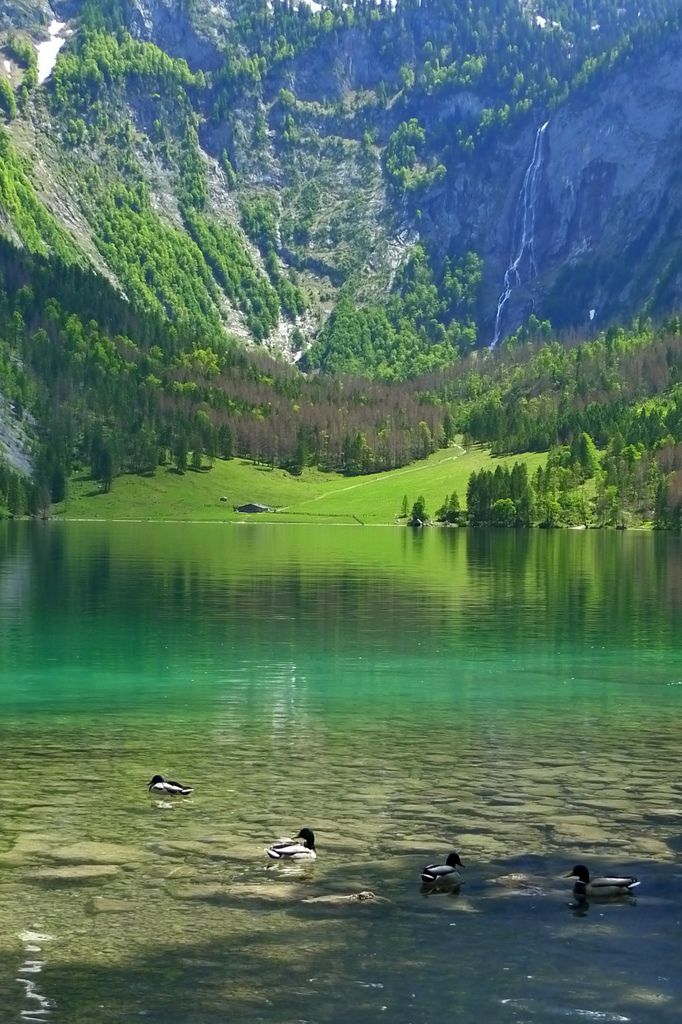 P1310612-1.jpg P1310612-1.jpg