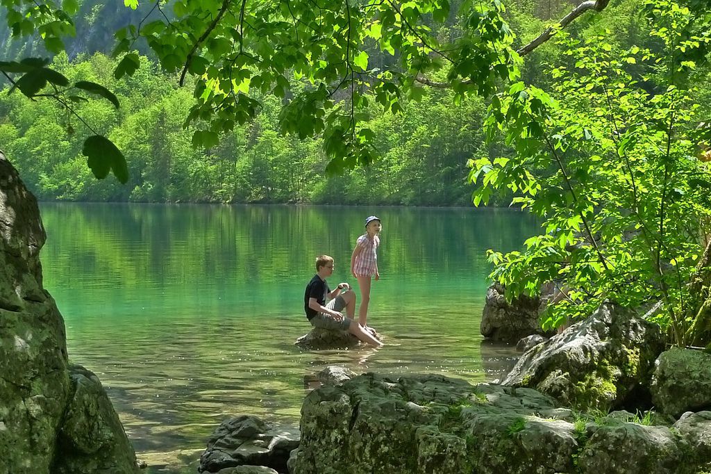 P1310624.JPG P1310624.JPG