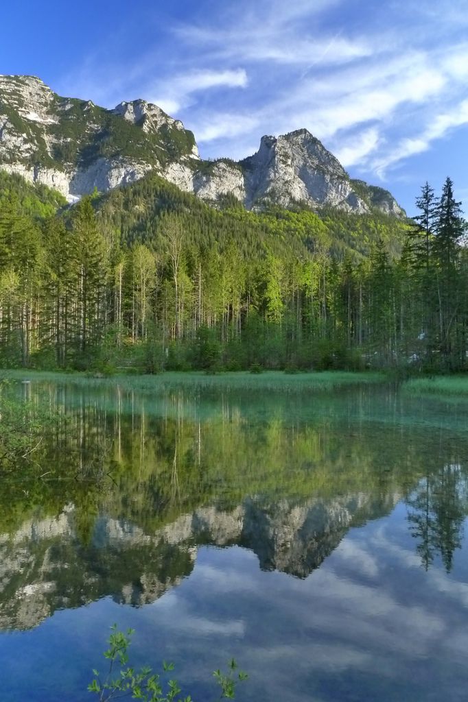 P1310742-1.jpg P1310742-1.jpg