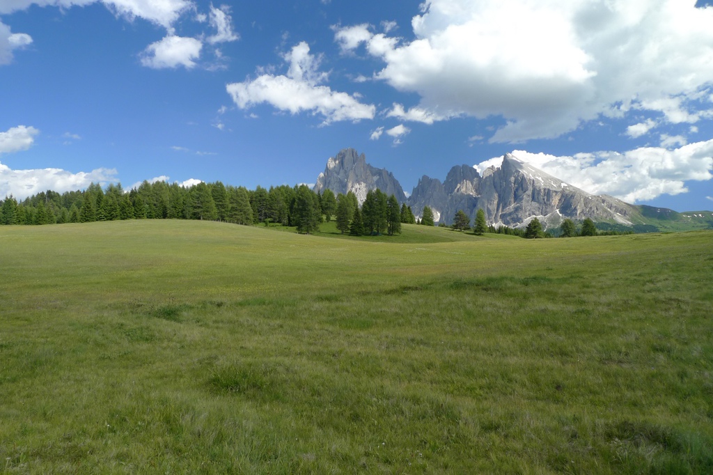 Dolomites(5) 草原仙境Alpe di Siusi Dolomites(5) 草原仙境Alpe di Siusi