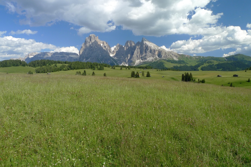 Dolomites(5) 草原仙境Alpe di Siusi Dolomites(5) 草原仙境Alpe di Siusi
