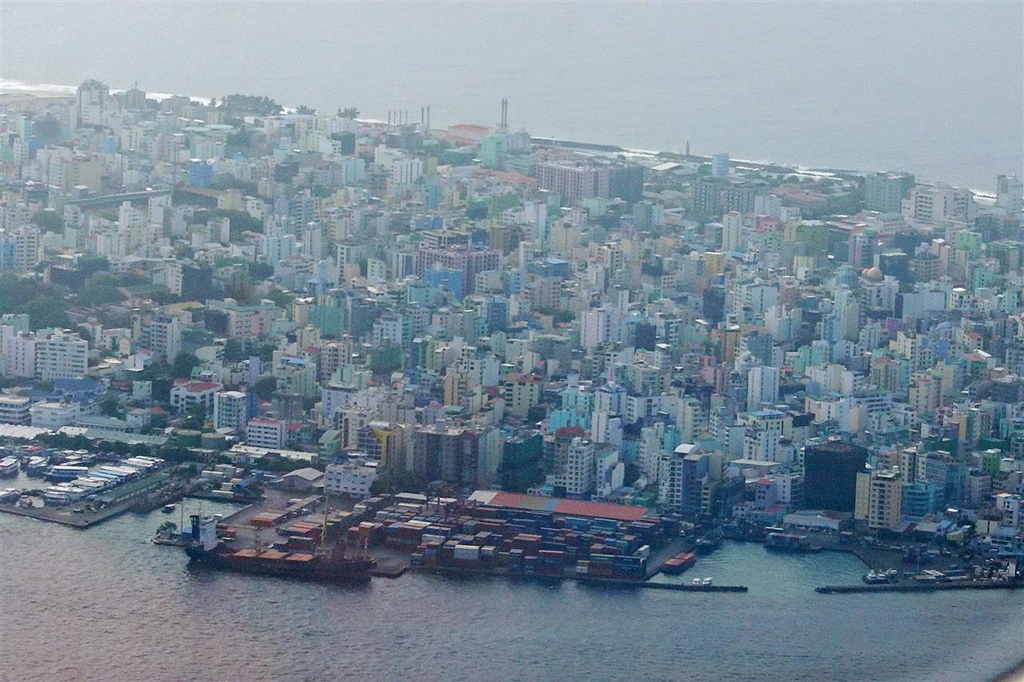 DSC00981.JPG DSC00981.JPG