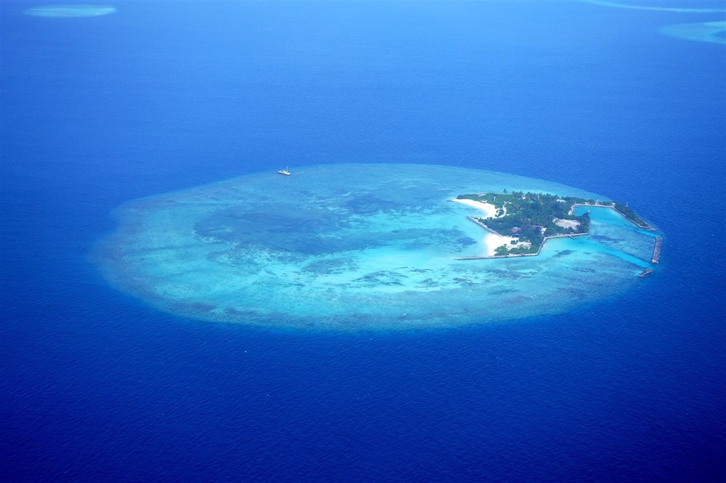 DSC00980.JPG DSC00980.JPG