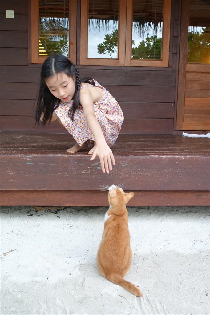 DSC01012.JPG DSC01012.JPG