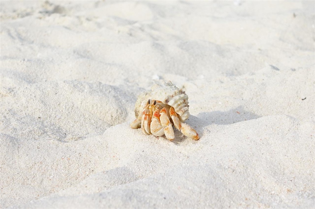 DSC01222.JPG DSC01222.JPG