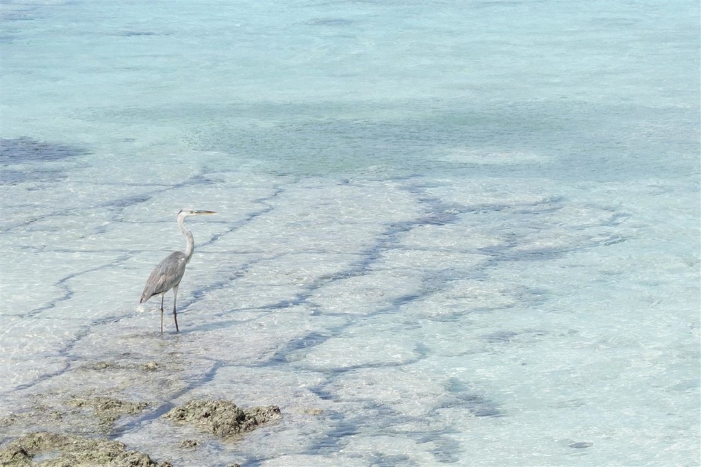 DSC01327.JPG DSC01327.JPG