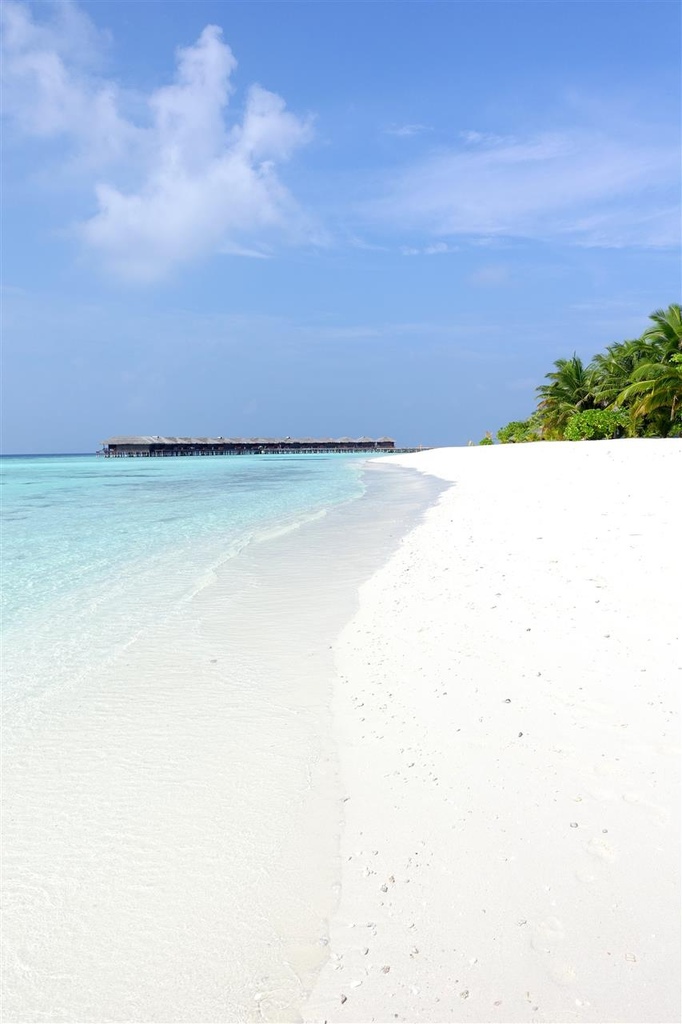 DSC01350.JPG DSC01350.JPG