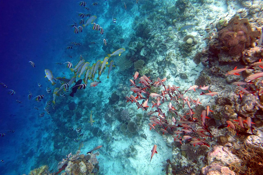 DSC01383.JPG DSC01383.JPG