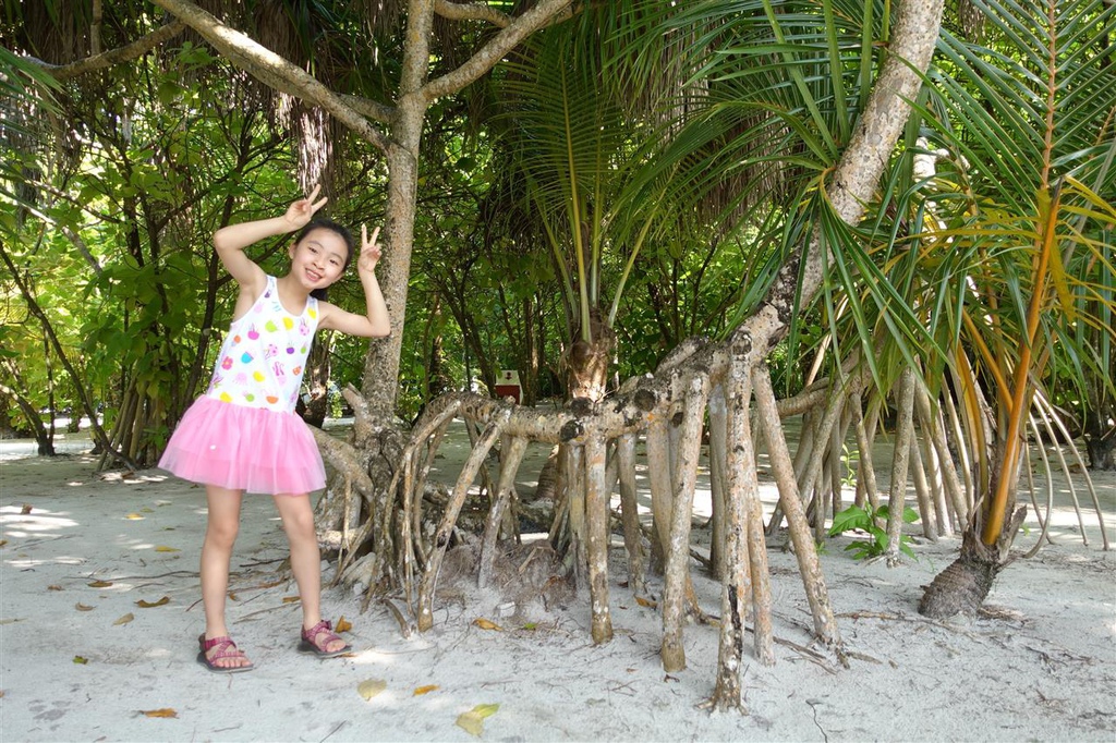 DSC01637.JPG DSC01637.JPG