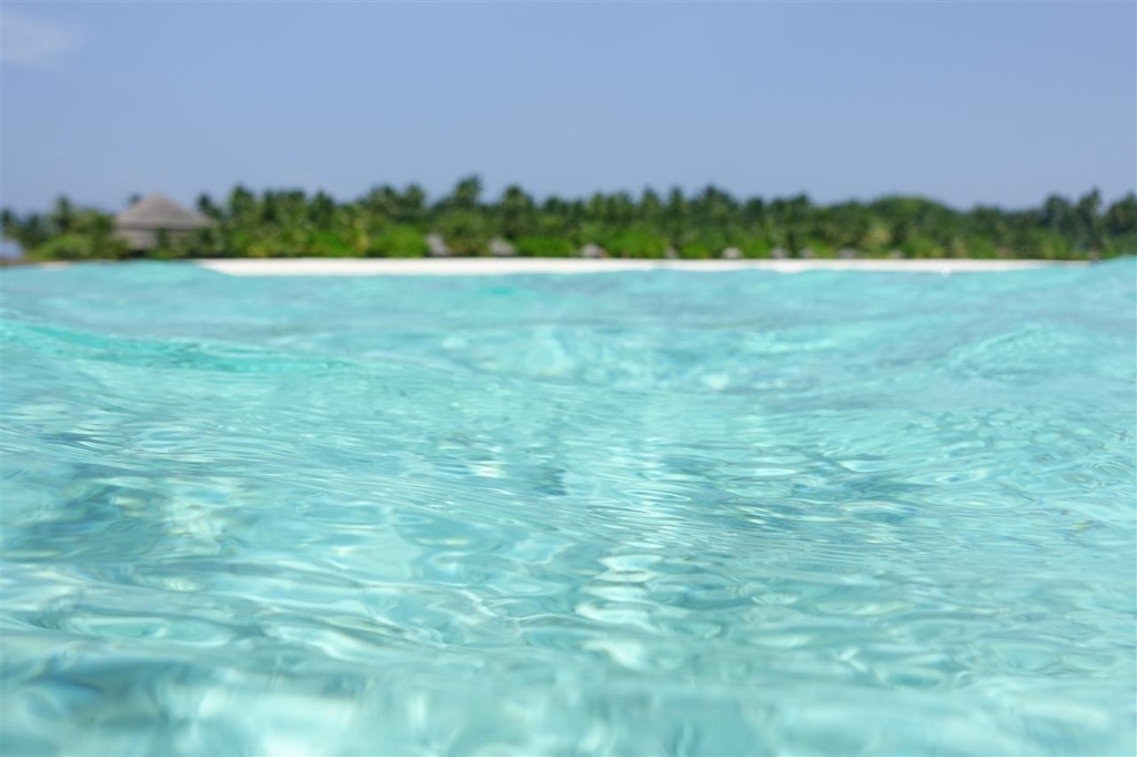 DSC01720.JPG DSC01720.JPG