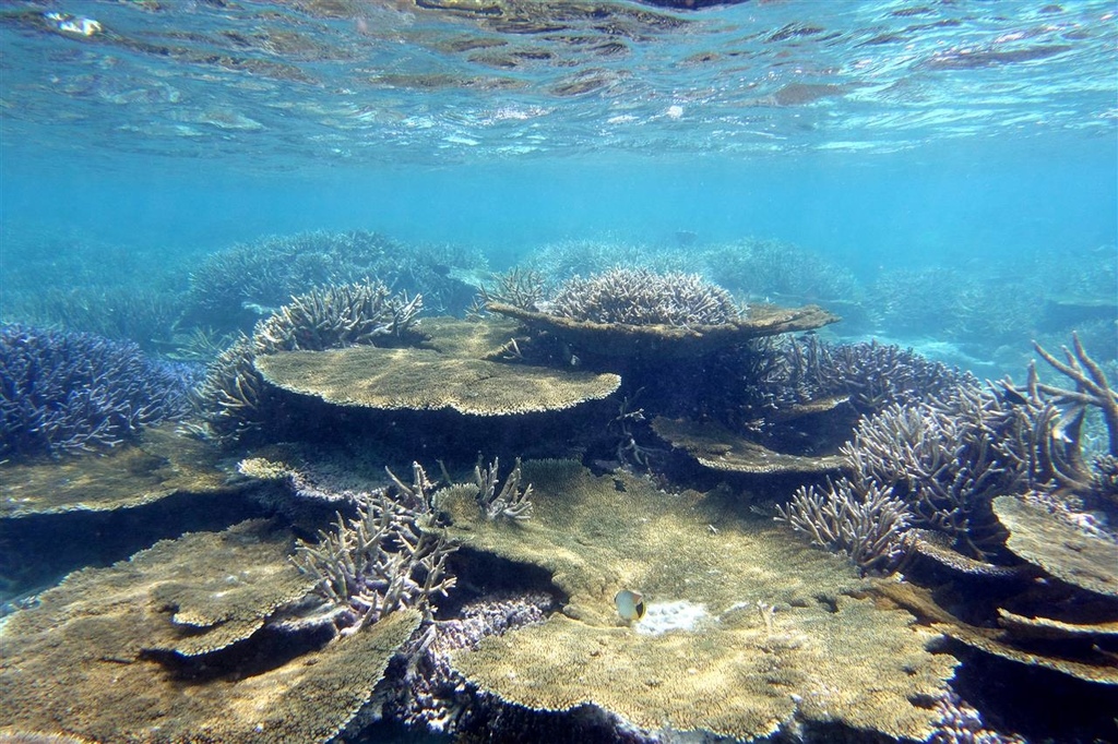 DSC01706.JPG DSC01706.JPG