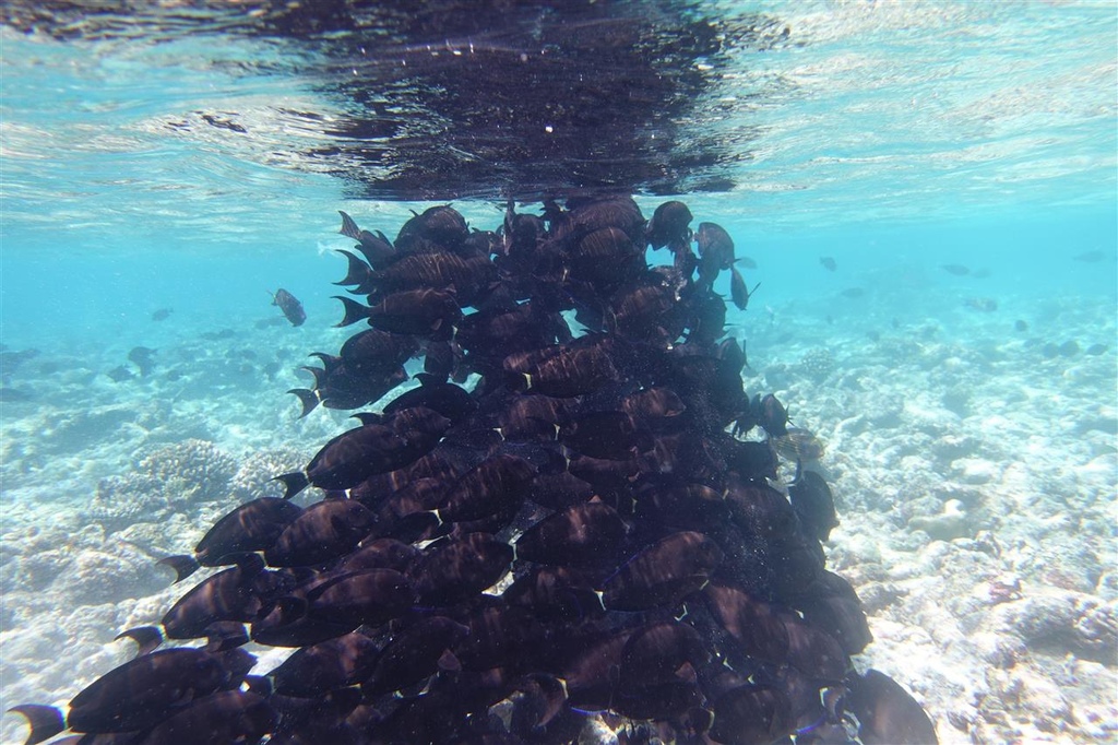 DSC01750.JPG DSC01750.JPG