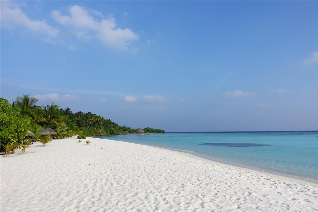 DSC01786.JPG DSC01786.JPG