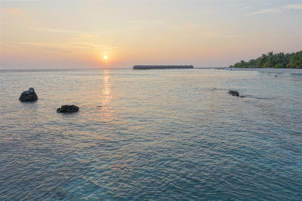 DSC01866.JPG DSC01866.JPG