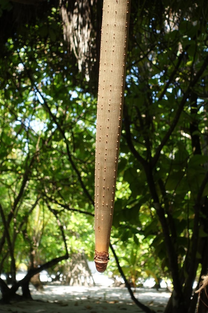 DSC01938.JPG DSC01938.JPG