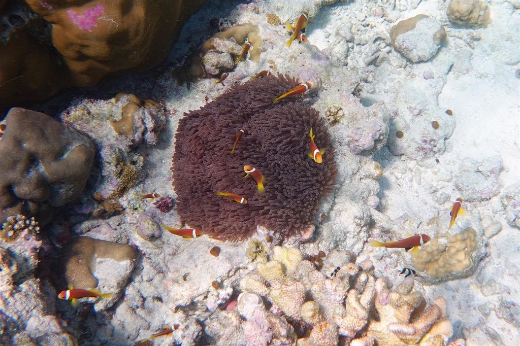 DSC02002.JPG DSC02002.JPG