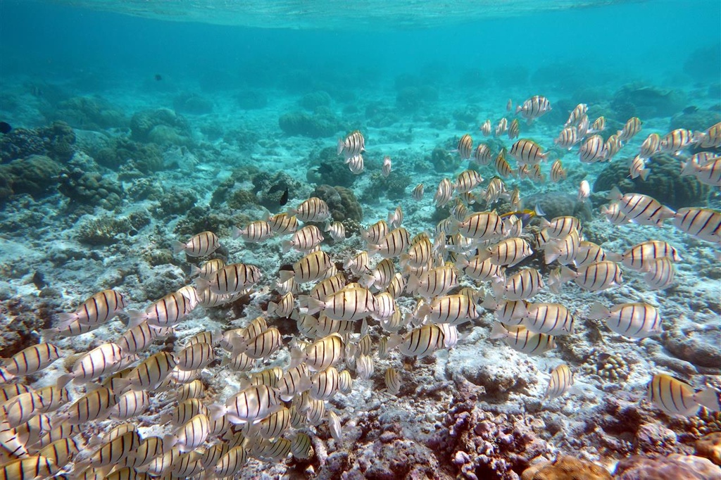 DSC01999.JPG DSC01999.JPG