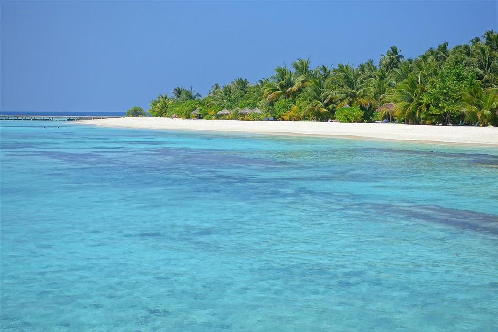 DSC01173.JPG DSC01173.JPG