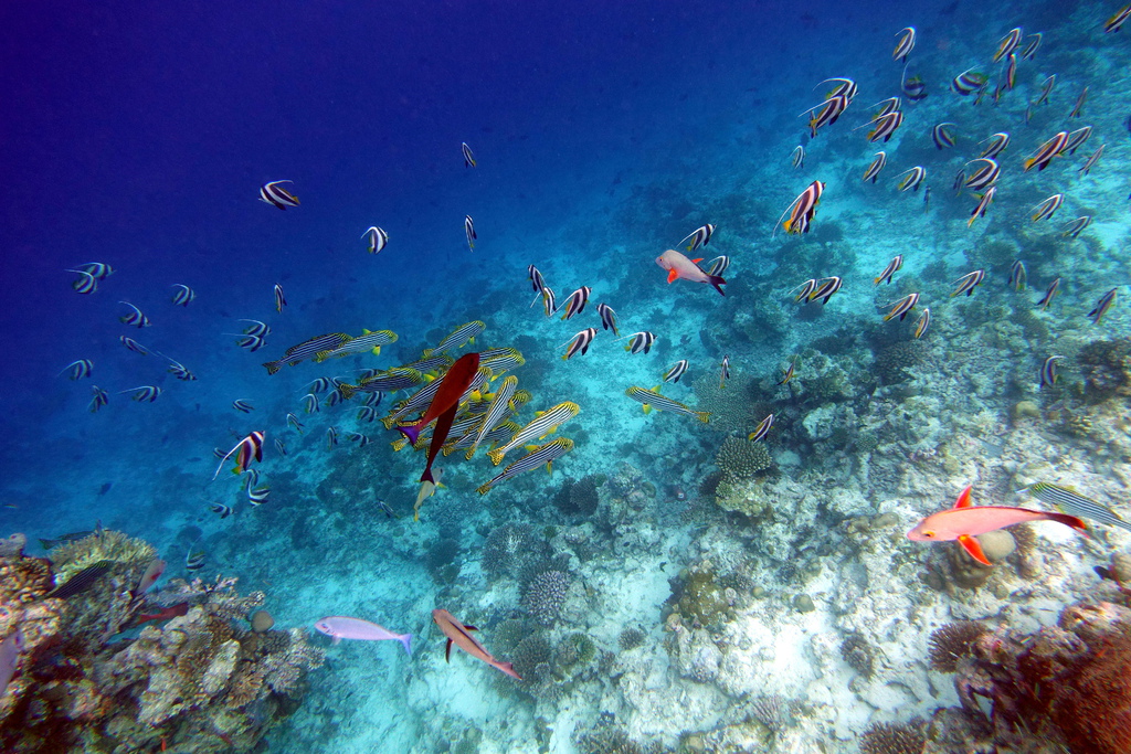 DSC01381.JPG DSC01381.JPG