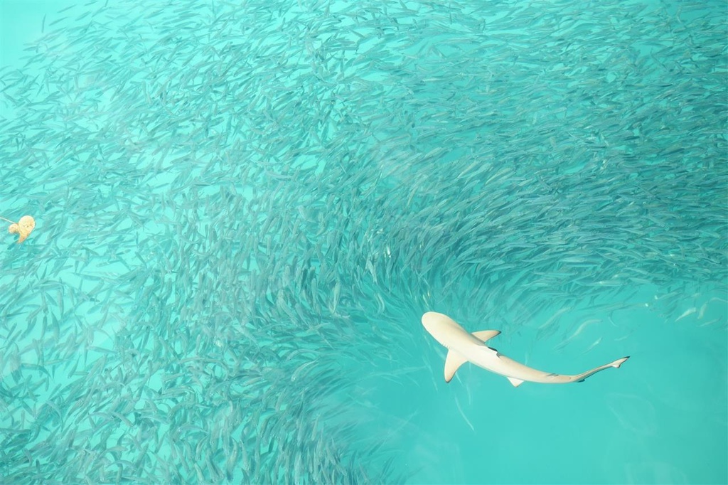 DSC02142.JPG DSC02142.JPG