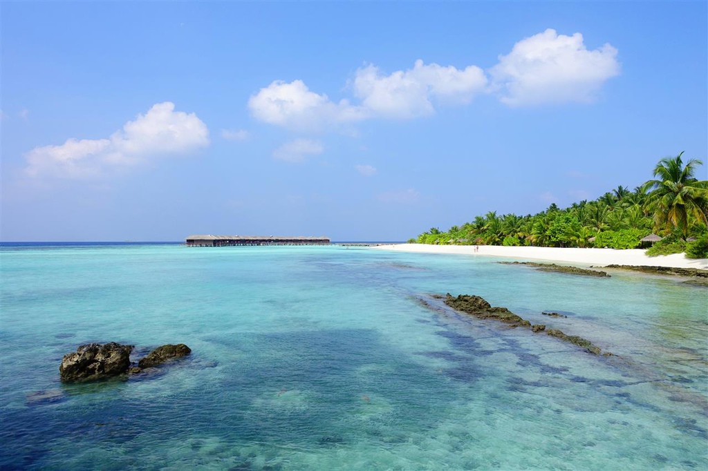 DSC02133.JPG DSC02133.JPG