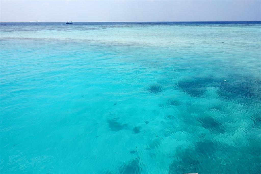 DSC02176.JPG DSC02176.JPG