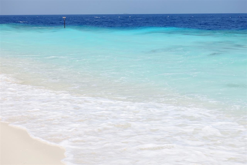 DSC02190.JPG DSC02190.JPG