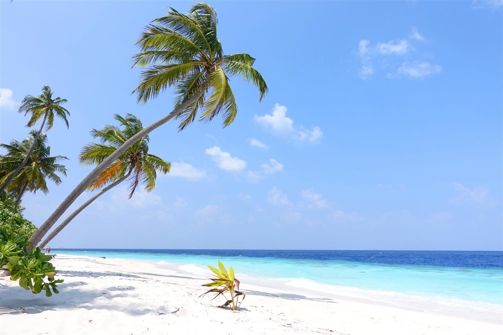 DSC02196.JPG DSC02196.JPG