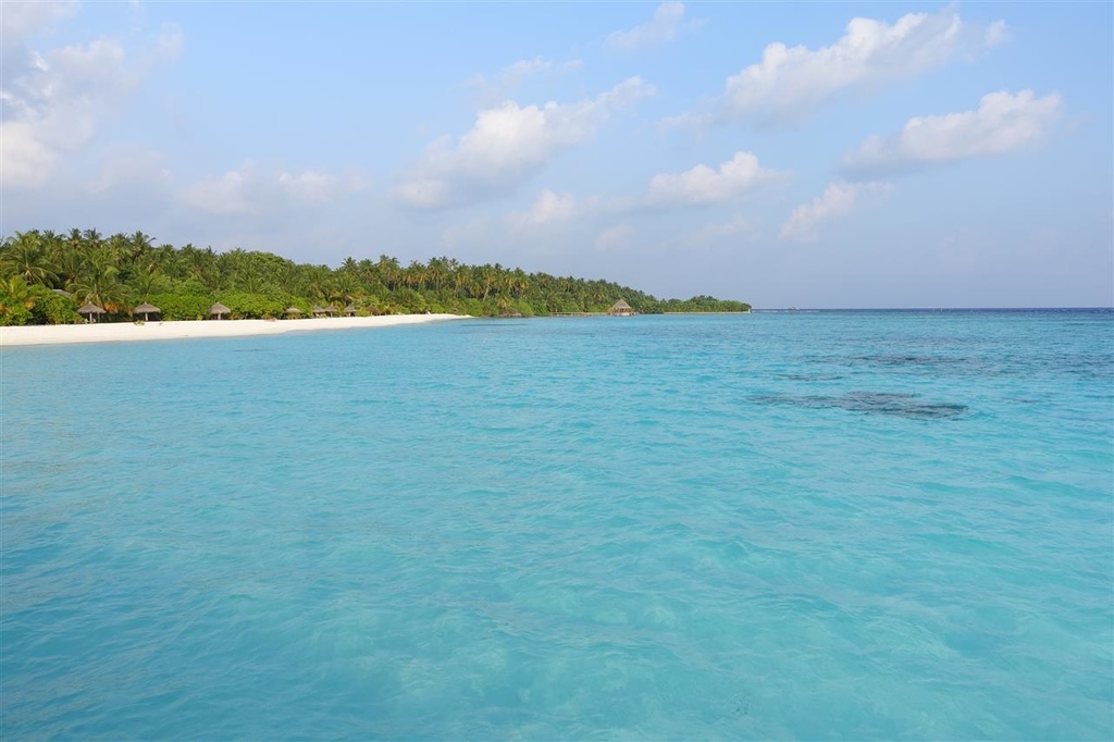 DSC02252.JPG DSC02252.JPG