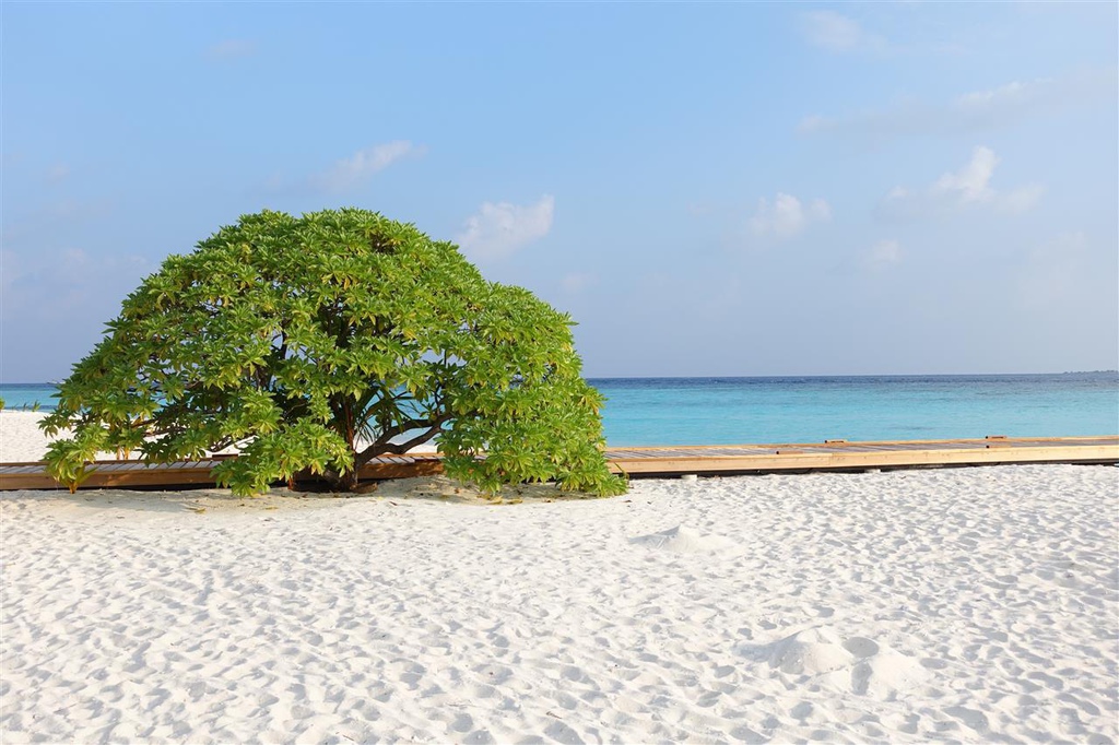 DSC02243.JPG DSC02243.JPG