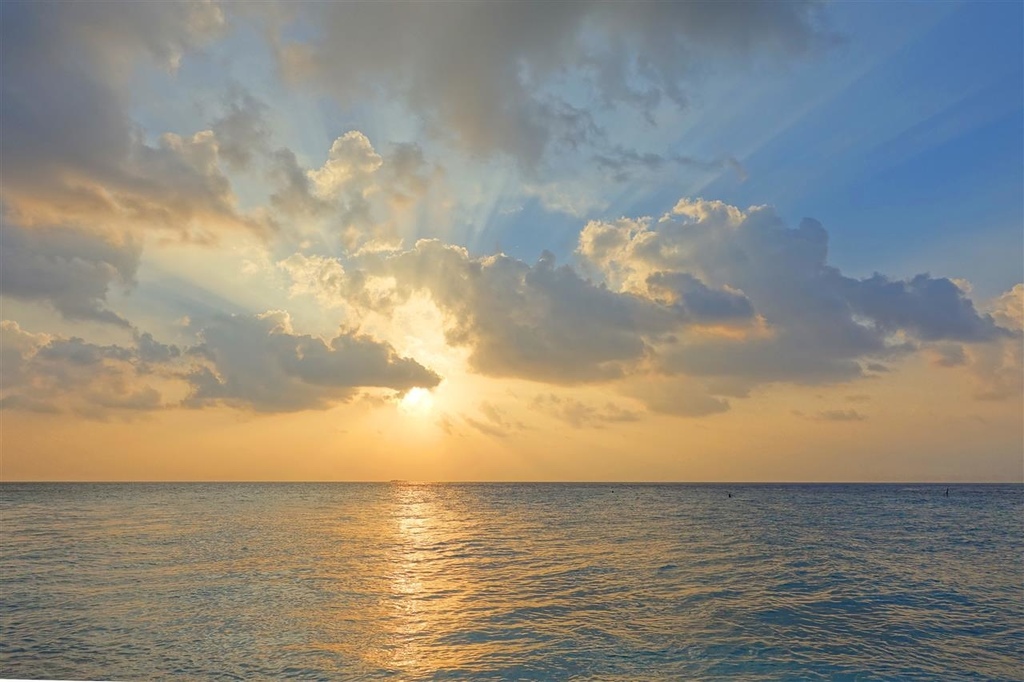 DSC02319.JPG DSC02319.JPG