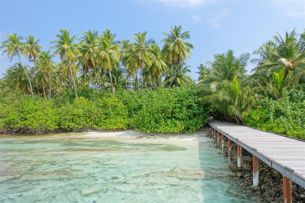 DSC02469.JPG DSC02469.JPG