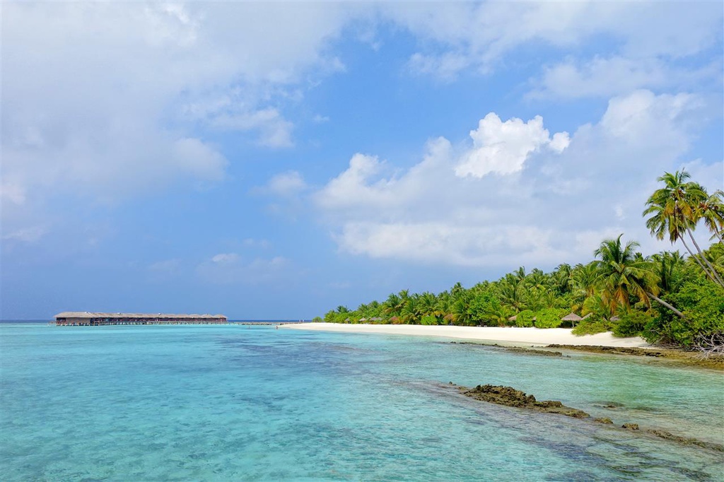 DSC02463.JPG DSC02463.JPG