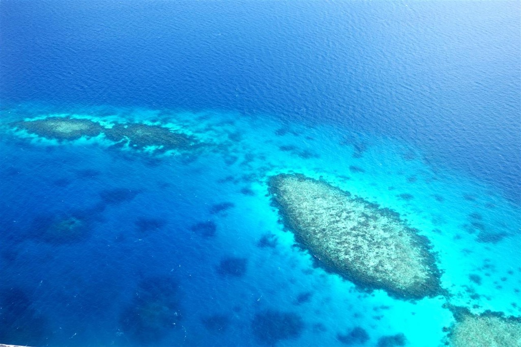 DSC02602.JPG DSC02602.JPG