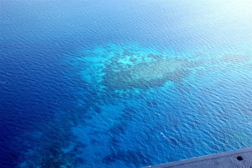 DSC02605.JPG DSC02605.JPG