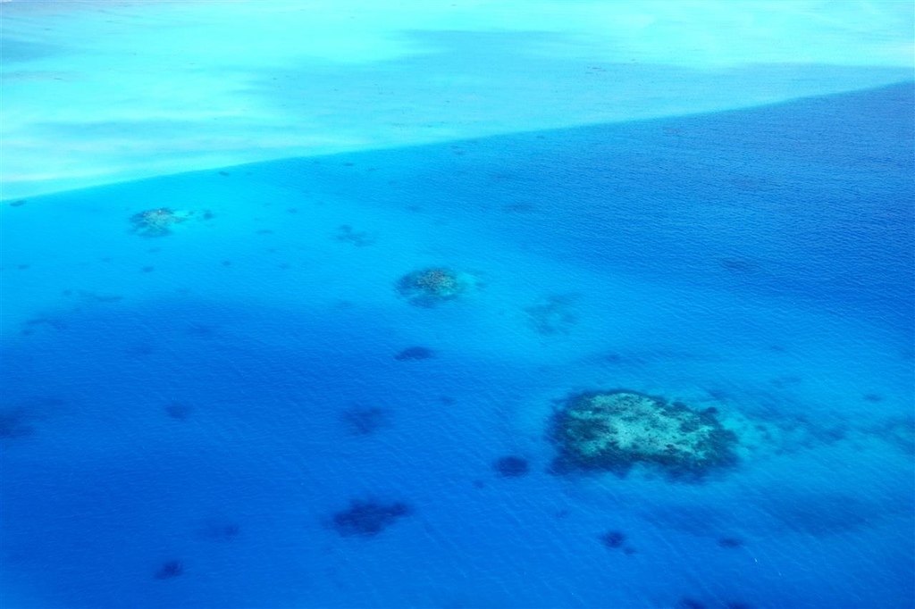 DSC02612.JPG DSC02612.JPG