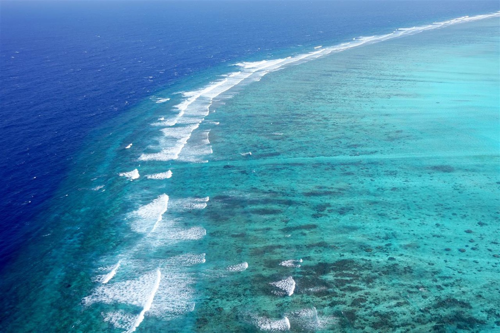 DSC02619.JPG DSC02619.JPG