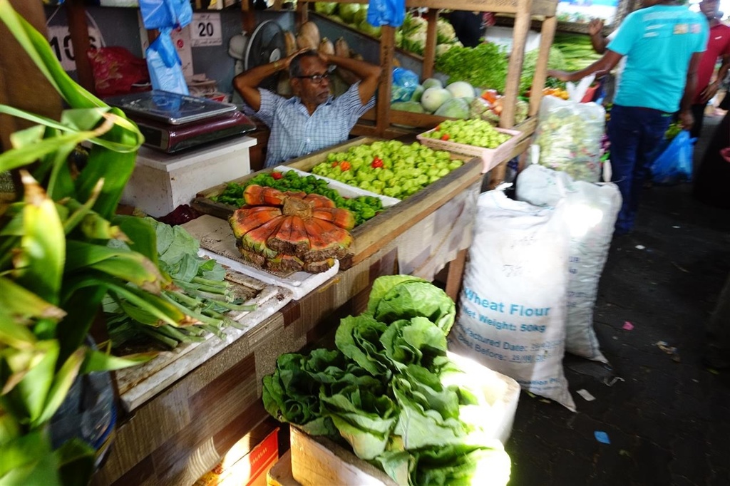 DSC02650.JPG DSC02650.JPG