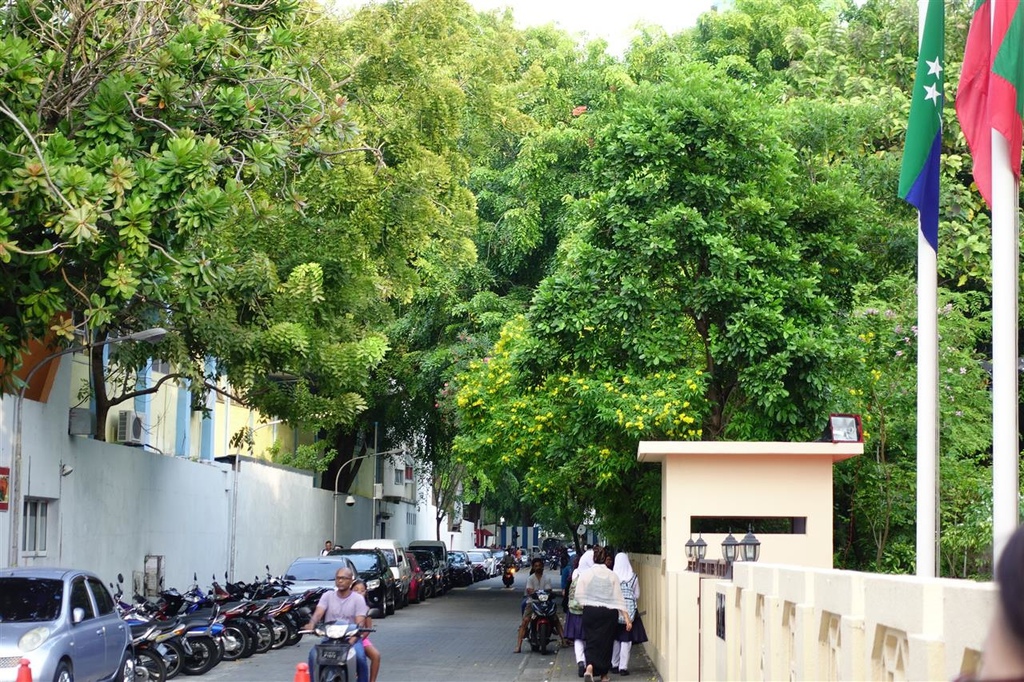 DSC02669.JPG DSC02669.JPG