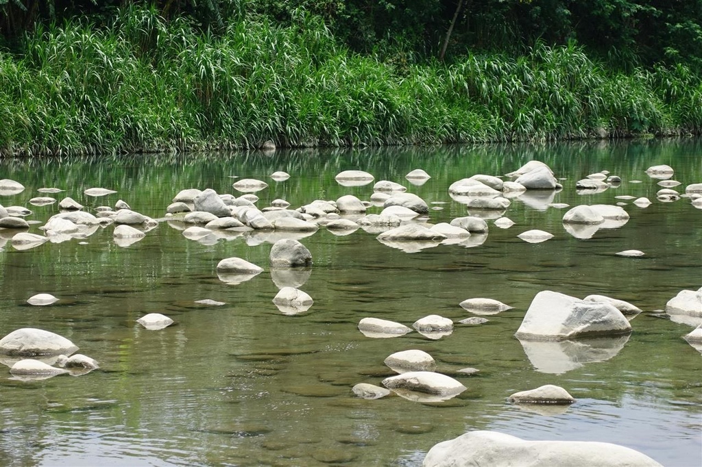 DSC04303.JPG DSC04303.JPG