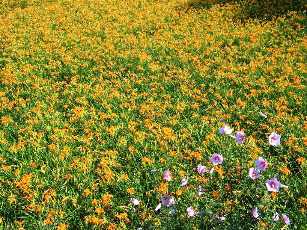 213_1396.JPG 213_1396.JPG