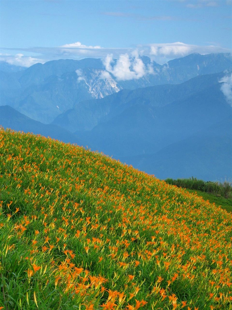 213_1371_r1.jpg 213_1371_r1.jpg