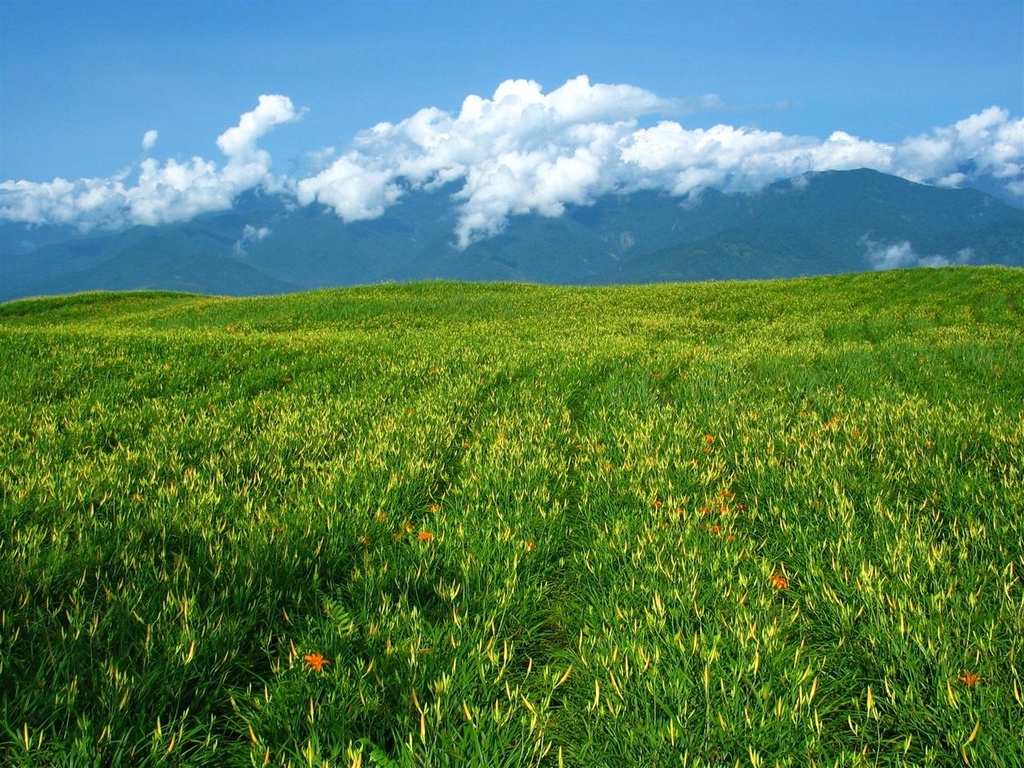 214_1402.JPG 214_1402.JPG