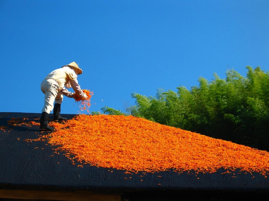 215_1560.JPG 215_1560.JPG